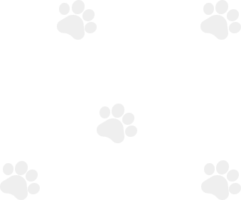 Pet Paw